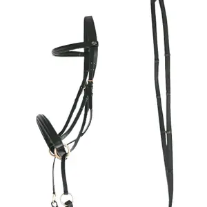 111144-marron-zaumzeug-reiten-clencher-croise-chetak-braun-pony