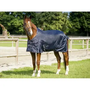 Chemise pour cheval Equithème Light 0g image-1