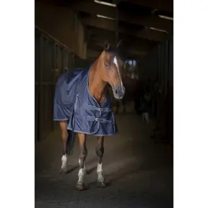 Chemise pour cheval Equithème Light 0g image-2