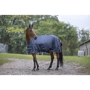 Chemise pour cheval Equithème Light 0g image-0