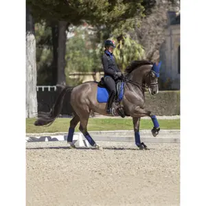 Esteira de dressage para cavalos LeMieux image-1