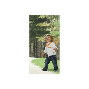 Safety straps Chicco image-0