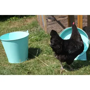 Cubo Chick'A image-4