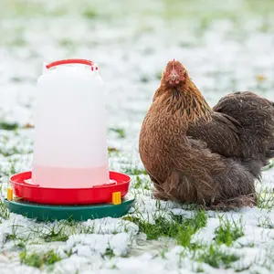 Chauffe abreuvoir Chick'A image-2