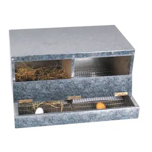 400011-2-fackskupa-chick-a-silver-63x45x35-cm