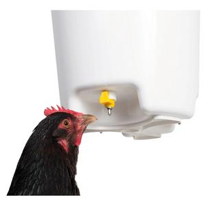 Suspended pipette drinker for poultry Chick'A image-2