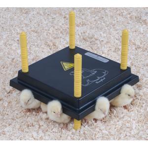 530005025-varmepanel-for-kycklingar-chick-a-svart-25x25-cm