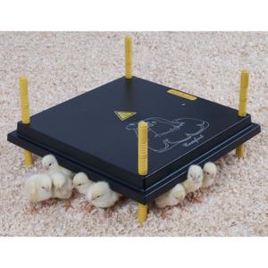 530005040-varmepanel-for-kycklingar-chick-a-svart-40x40-cm