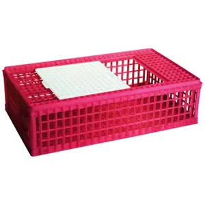 590020-1-dorrars-transportbehallare-i-plast-for-fjaderfa-chick-a-rosa-95x58x28-cm