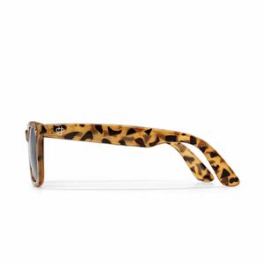 Occhiali da sole CHPO Brand Noway Medium image-4