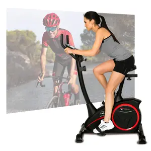 Exercício de bicicleta Christopeit AL 1 image-1