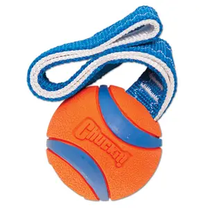 cu231301-hundboll-chuckit-ultra-tug-orange-bla-7-5x13-75x16-25-cm