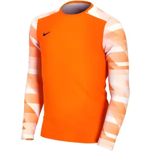 Camisola de guarda-redes ML infantil Nike Dry Park IV