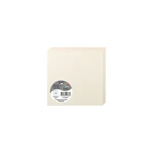 25 gevouwen kaarten Clairefontaine Pollen