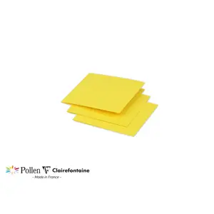 25 folded cards Clairefontaine Pollen image-0
