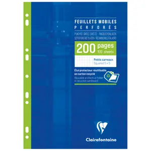 Hojas sueltas en estuche A4 200 páginas perforadas, cuadros pequeños Clairefontaine image-0