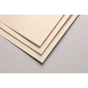 Risma di carta da 5 fogli Clairefontaine Pastelmat 360g image-0