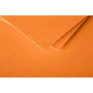 25 folded cards Clairefontaine Pollen image-0