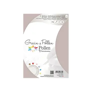 Pojedyncze składane karty ziarniste Clairefontaine Pollen (x5) image-1
