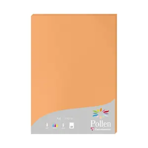 Blatt Clairefontaine Pollen (x25) image-0