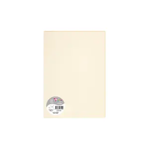 Blatt Clairefontaine Pollen (x5) image-0