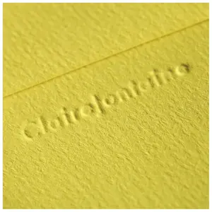 Busta di grano Clairefontaine Pollen (x5) image-2