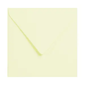 Enveloppe grain de Clairefontaine Pollen (x20) image-0