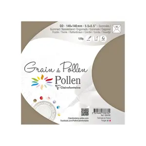 Koperta ziarna Clairefontaine Pollen (x5) image-1