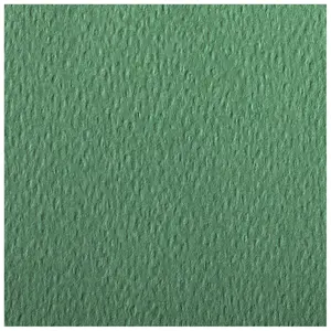 Ramette de papier de 25 feuilles Clairefontaine Etival Color A4 160g image-1