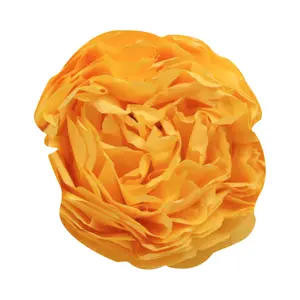 Papier de soie rouleau de 24 feuilles Clairefontaine image-1