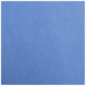 Papier A3 w arkuszach po 25 sztuk Clairefontaine Maya 270g image-1