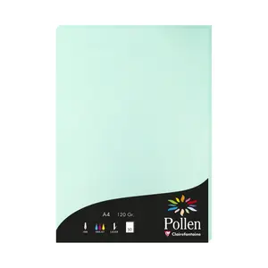 Étui de 50 feuilles Clairefontaine Pollen image-0