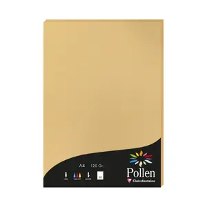 case of 50 sheets Clairefontaine Pollen image-0