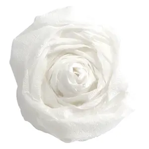 Pakke med 1 ark crepepapir 75% Clairefontaine image-2