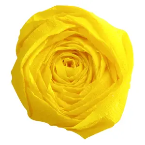 Pakke med 1 ark crepepapir 75% Clairefontaine image-2