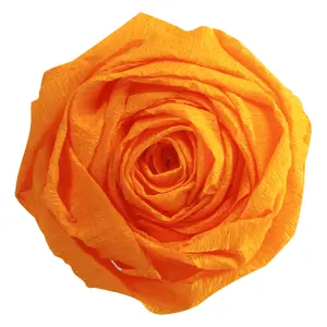 Pacchetto di 10 fogli di carta crespa 40% Clairefontaine image-0