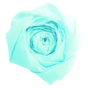 Saszetka z 1 złożonym arkuszem papieru crepe 75% Clairefontaine image-2