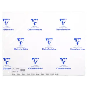 Pack of 10 sheets Clairefontaine Acrylique image-0