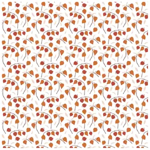 Pakke med 60 blade Clairefontaine Automne image-4