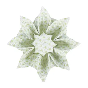 Map met 60 vellen Clairefontaine Printemps image-0