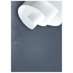 Paper roll in a tube Clairefontaine Simili Japon 130g image-1