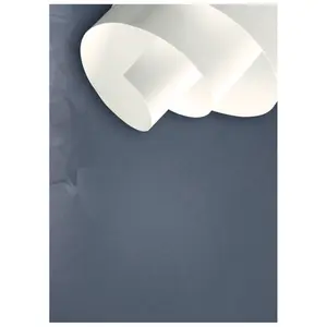 Rullo di carta in tubo Clairefontaine Simili Japon 130g image-1