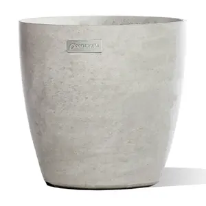 Pot egg Classimento Ø 50 image-0