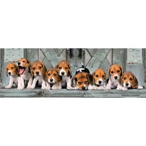 1000-piece panorama puzzle beagles dogs Clementoni image-1