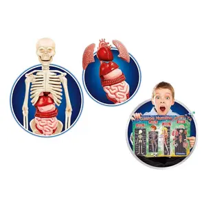 Science the human body Clementoni APP image-2