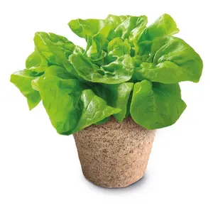 Science of ecological greenhouses Clementoni image-2