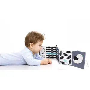 Book for soft Clementoni image-5