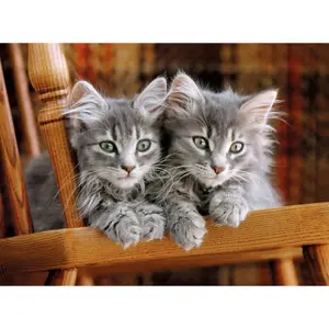 500 piece puzzle Clementoni Kittens image-1