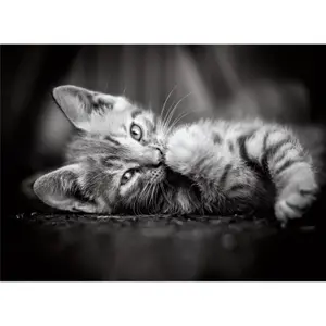 1000-piece cat puzzle Clementoni Kitty image-2
