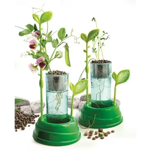 Botanical and hydroponic educational games Clementoni image-2